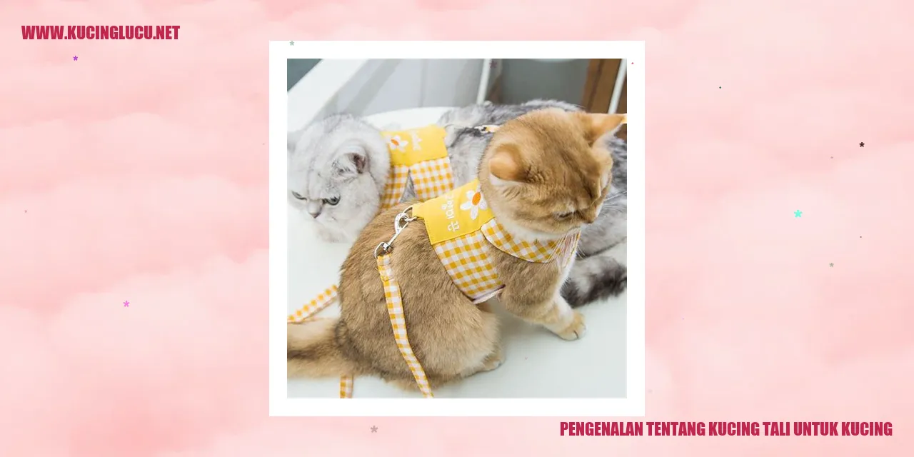 Foto Kucing dengan Tali Ditemani Pemiliknya