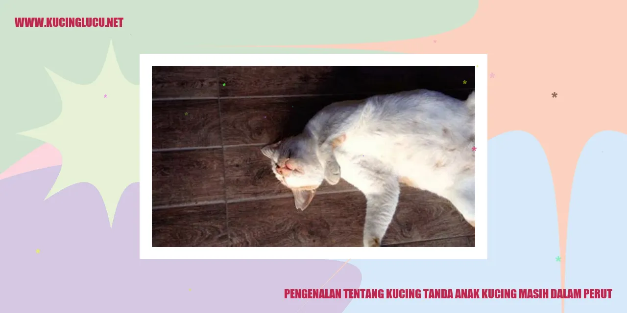 Gambar Kucing