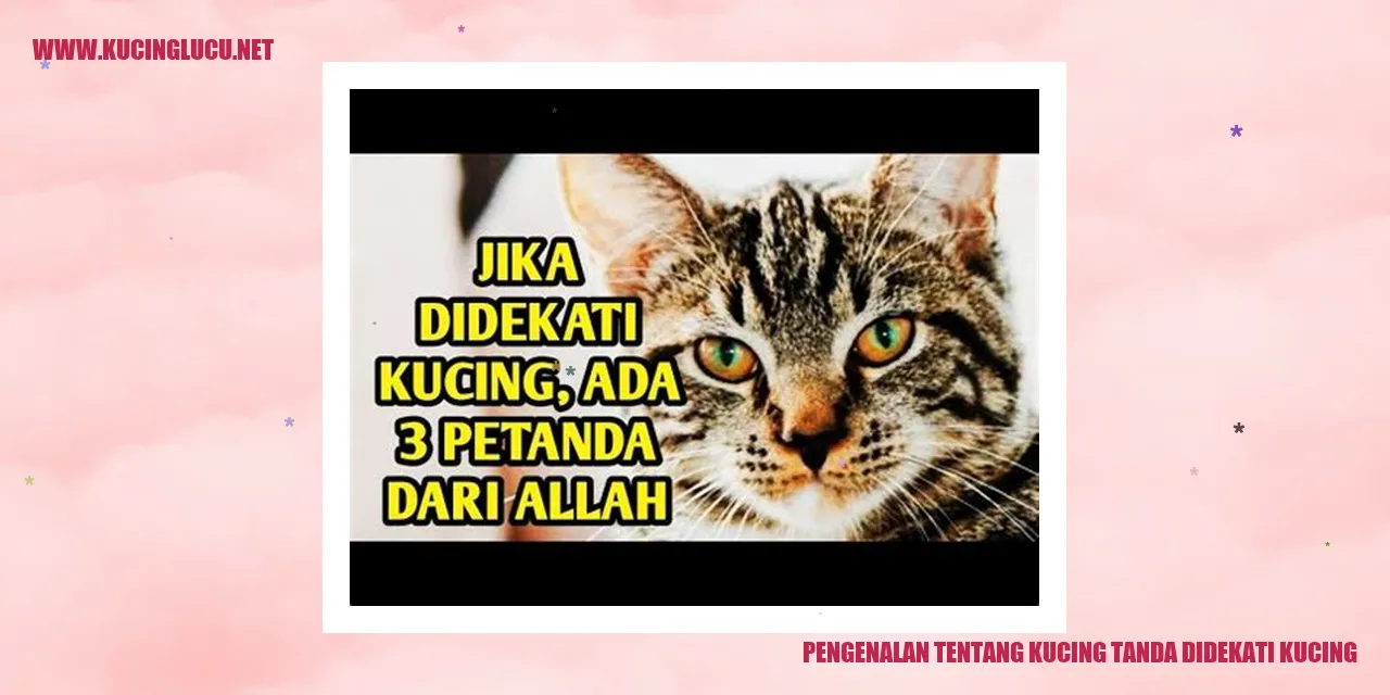 Gambar kucing