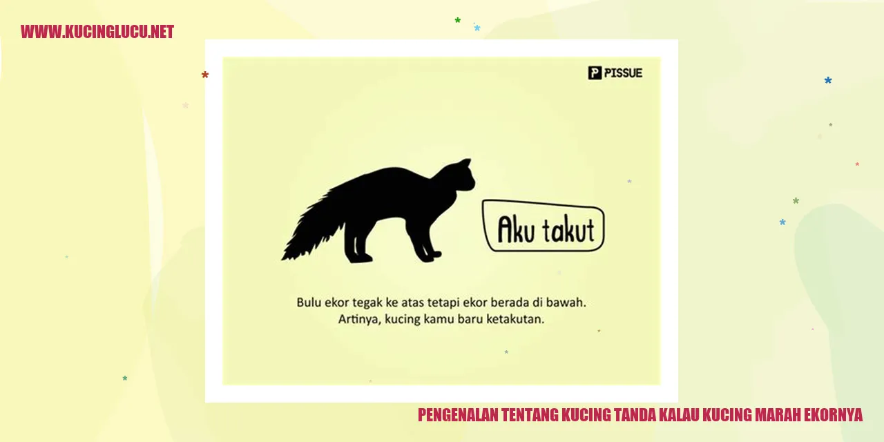 Tanda Kalau Kucing Marah