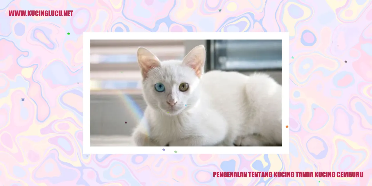 Gambar seekor kucing yang sedang merasa cemburu