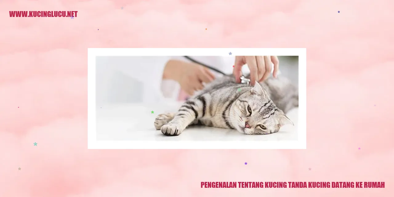 Gambar Kucing