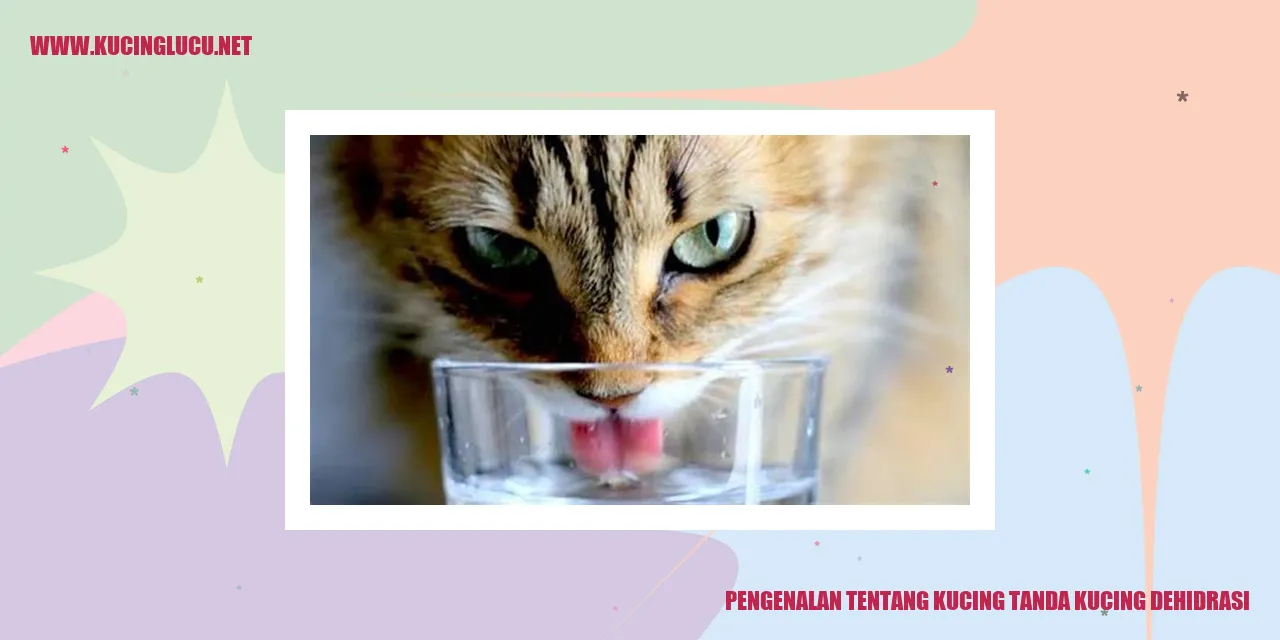 Kucing yang Mengalami Dehidrasi