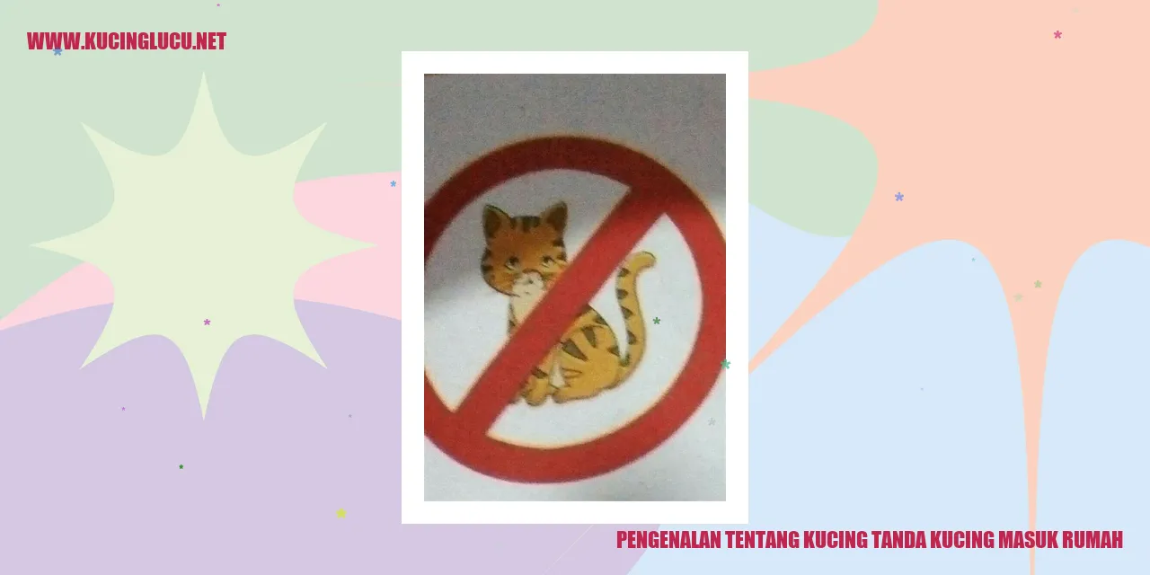 Gambar kucing masuk rumah
