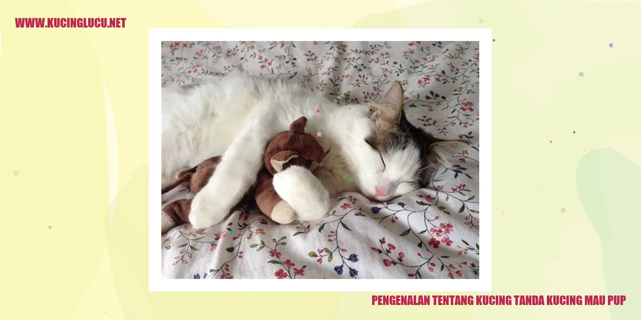 Gambar Kucing