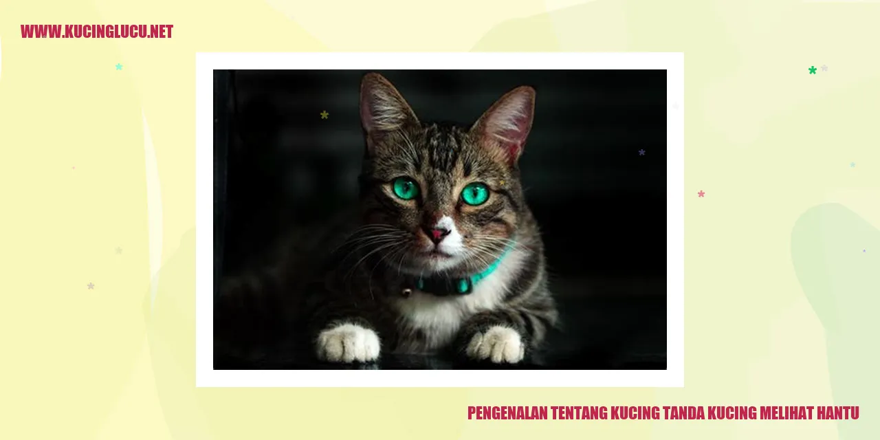 Ilustrasi kucing yang mendeteksi hantu