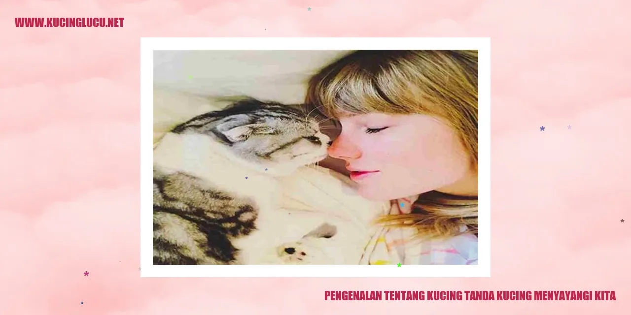 Gambar Kucing yang Menyayangi Kita