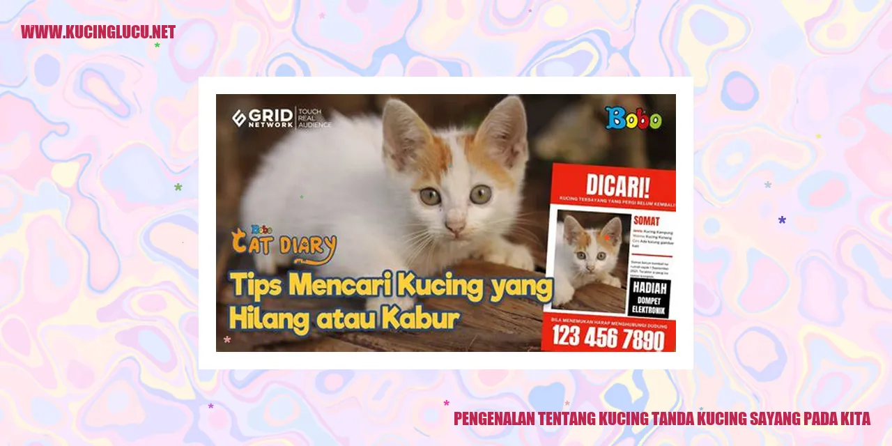 Foto Kucing yang Menggemaskan