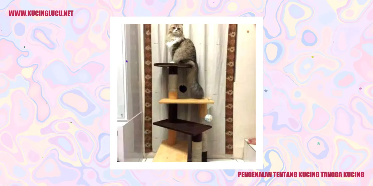 Kucing Tangga Kucing - Kucing dengan Penampilan Unik