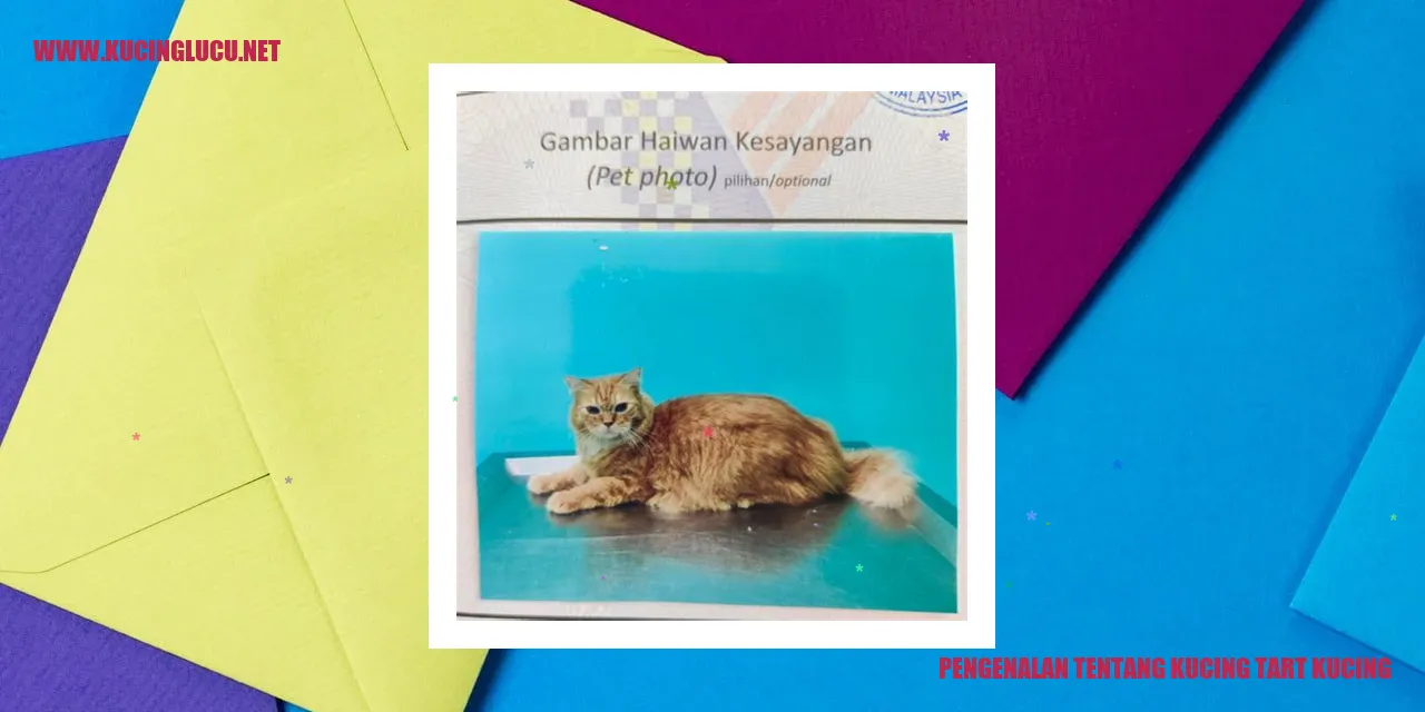Gambar Kucing Tart Kucing