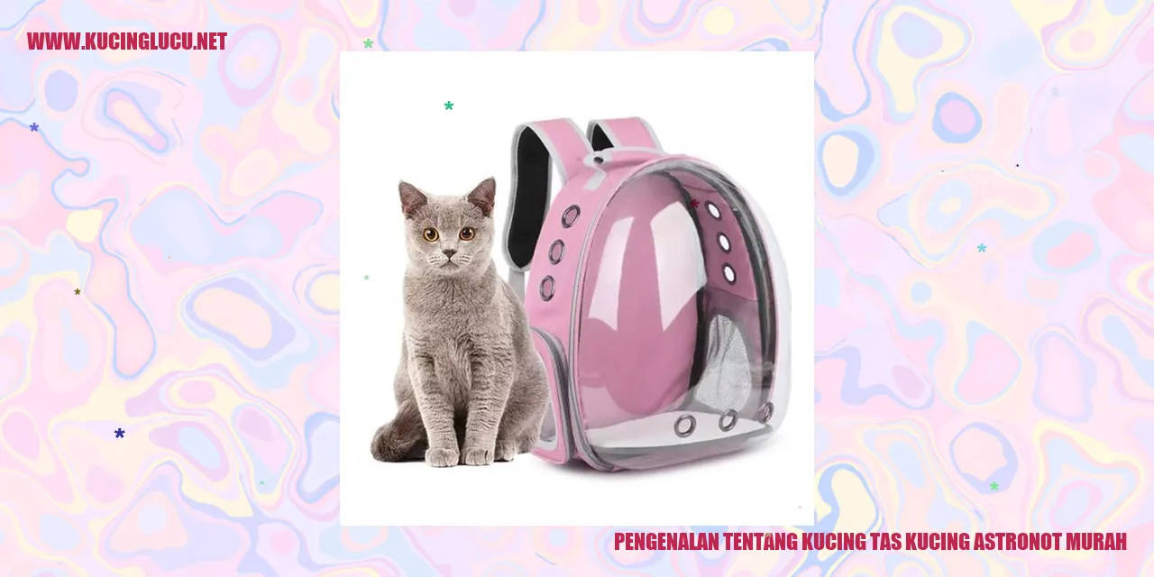 Gambar Kucing Astronot Murah
