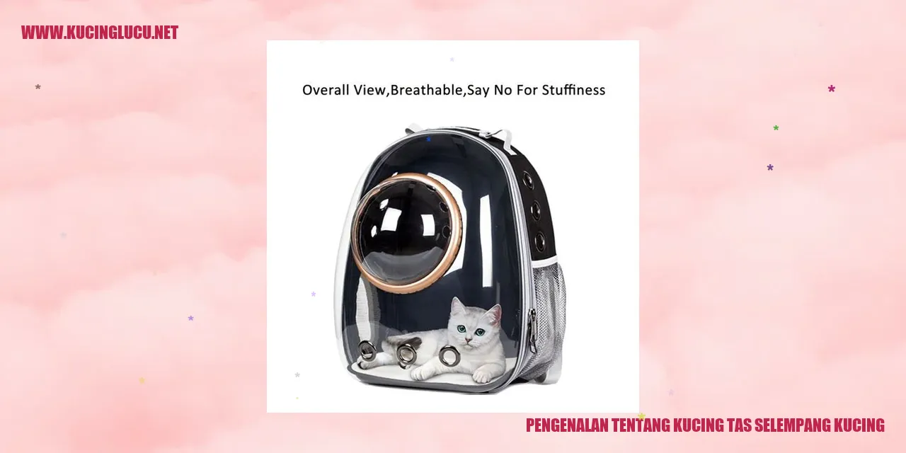 Kucing tas selempang kucing