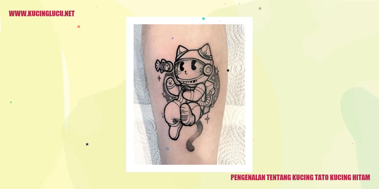 Kucing Tato Kucing Hitam
