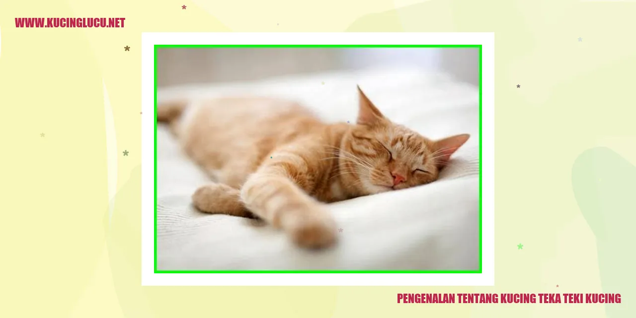Kucing Teka-Teki Kucing