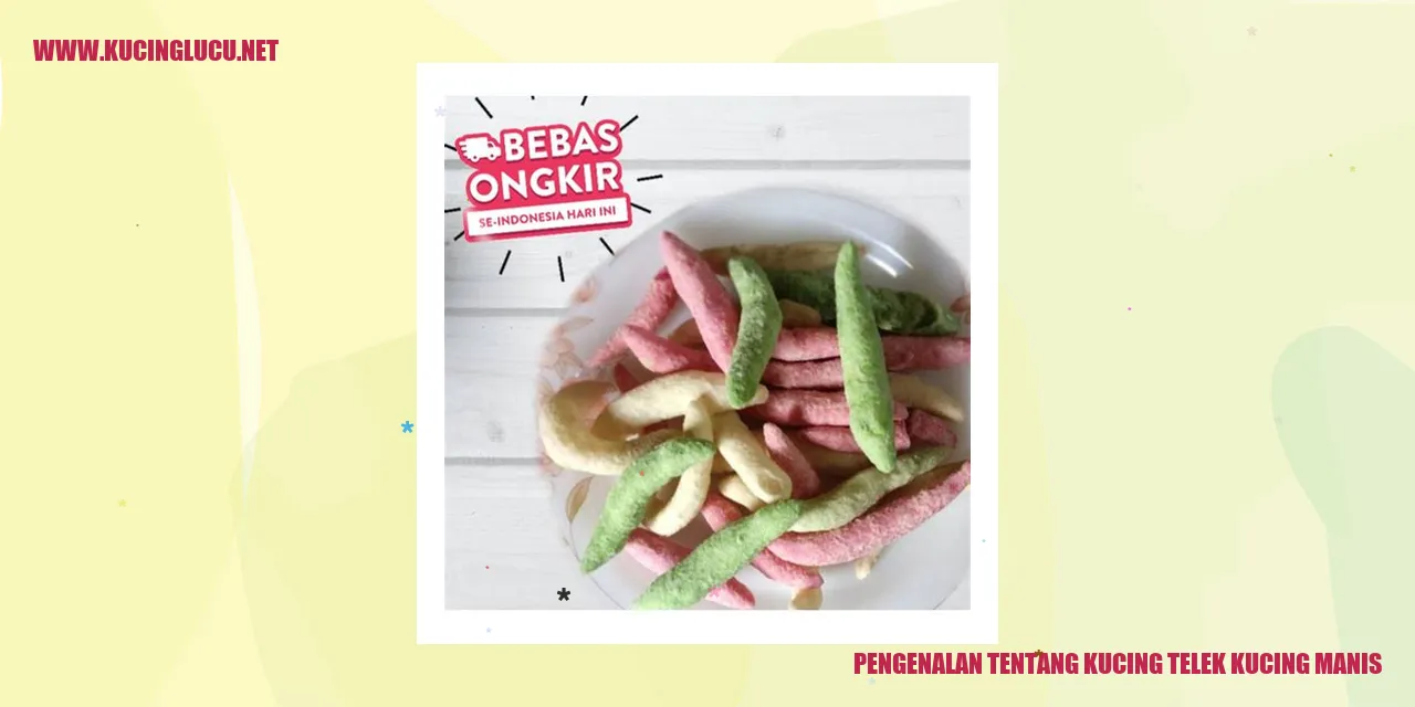 Gambar Kucing Telek Kucing Manis