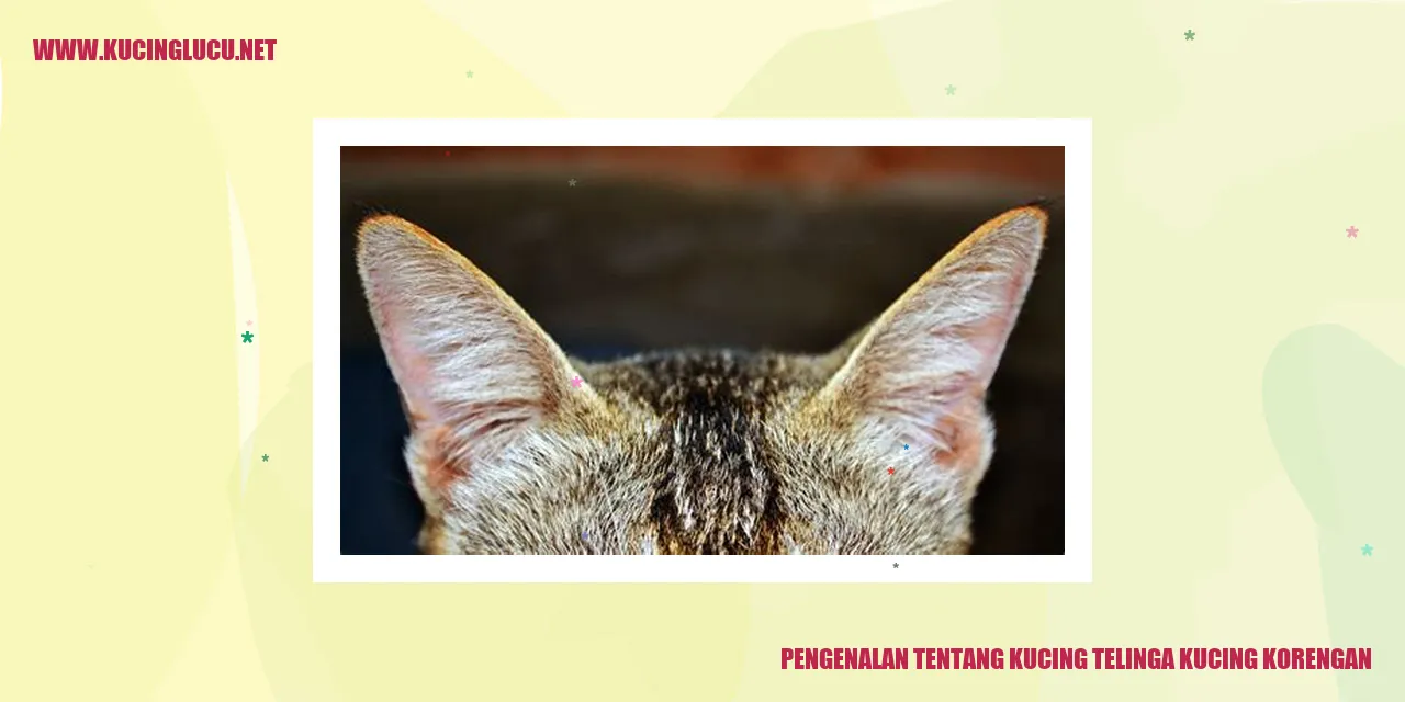 Kucing Telinga Korengan