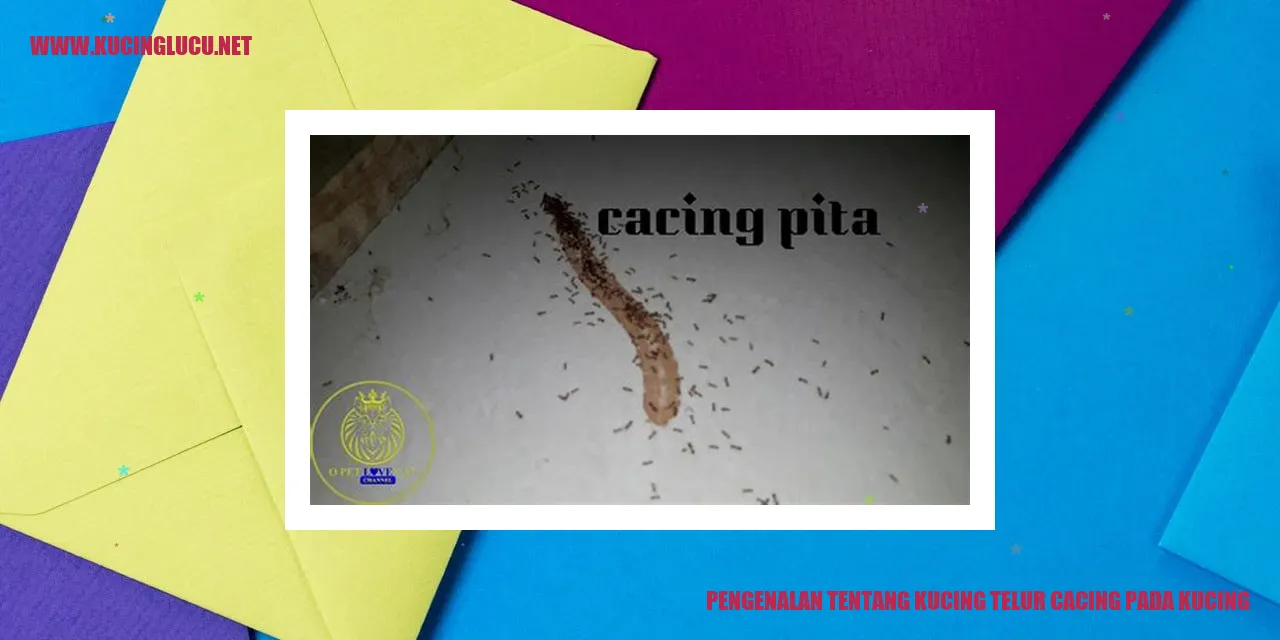 Infeksi Telur Cacing pada Kucing