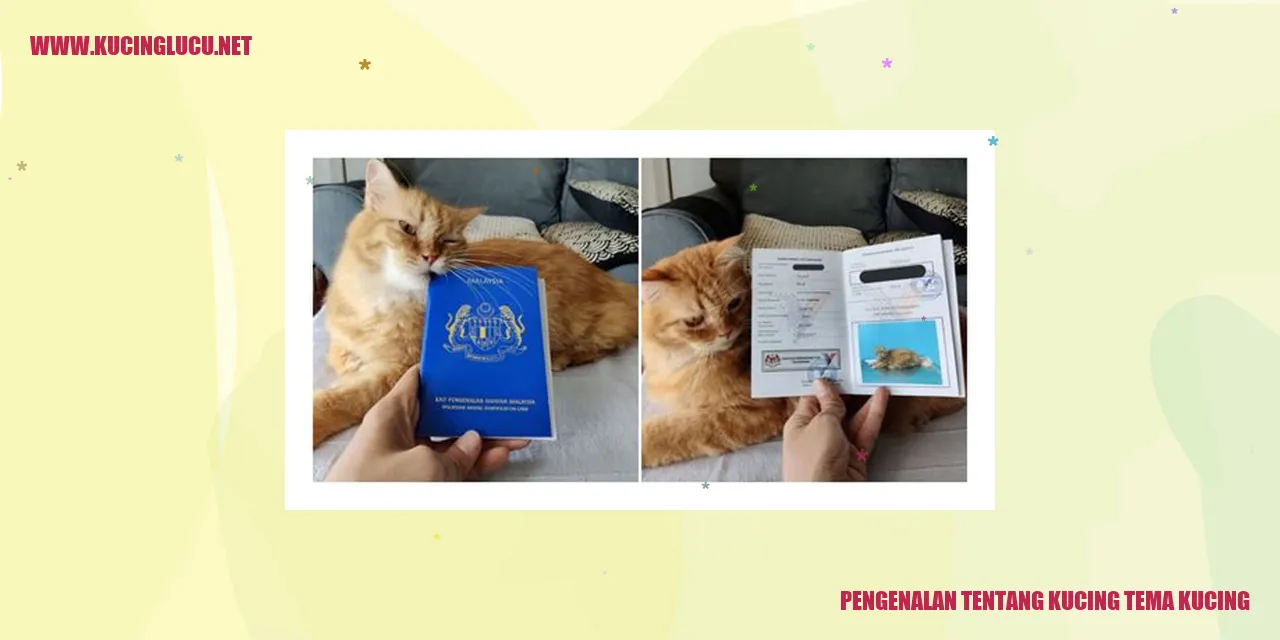 gambar kucing