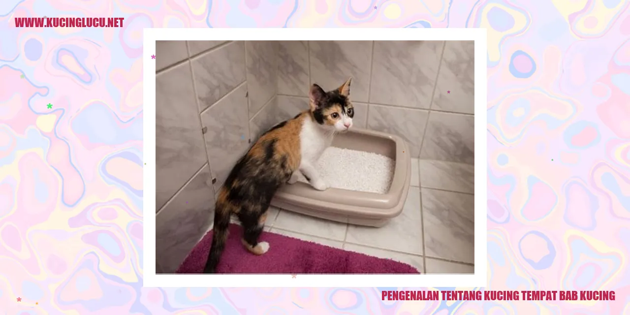Pengenalan tentang Kucing tempat bab kucing