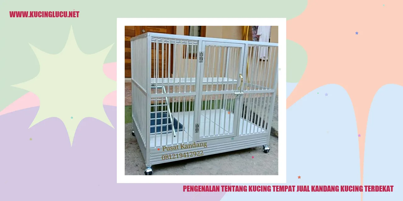 Gambar Kucing Menggemaskan