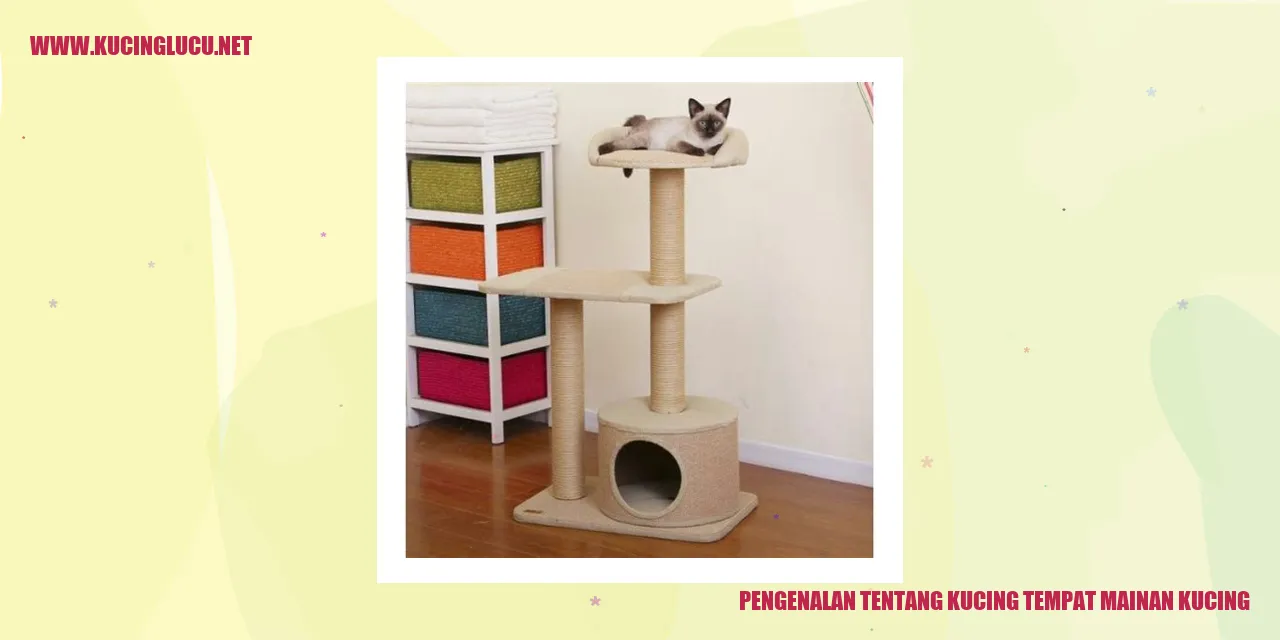 Kucing menikmati mainan mereka