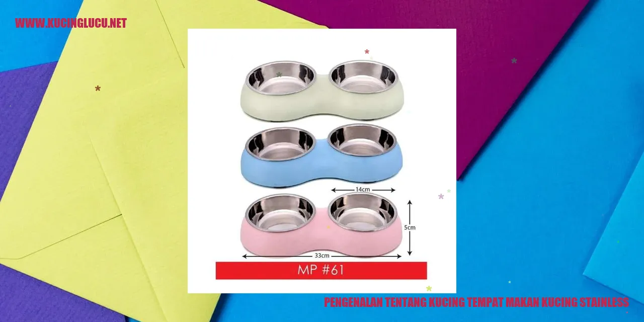 Kucing Stainless