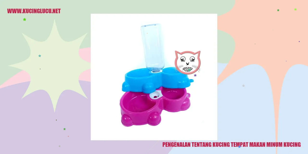Gambar kucing makan dan minum