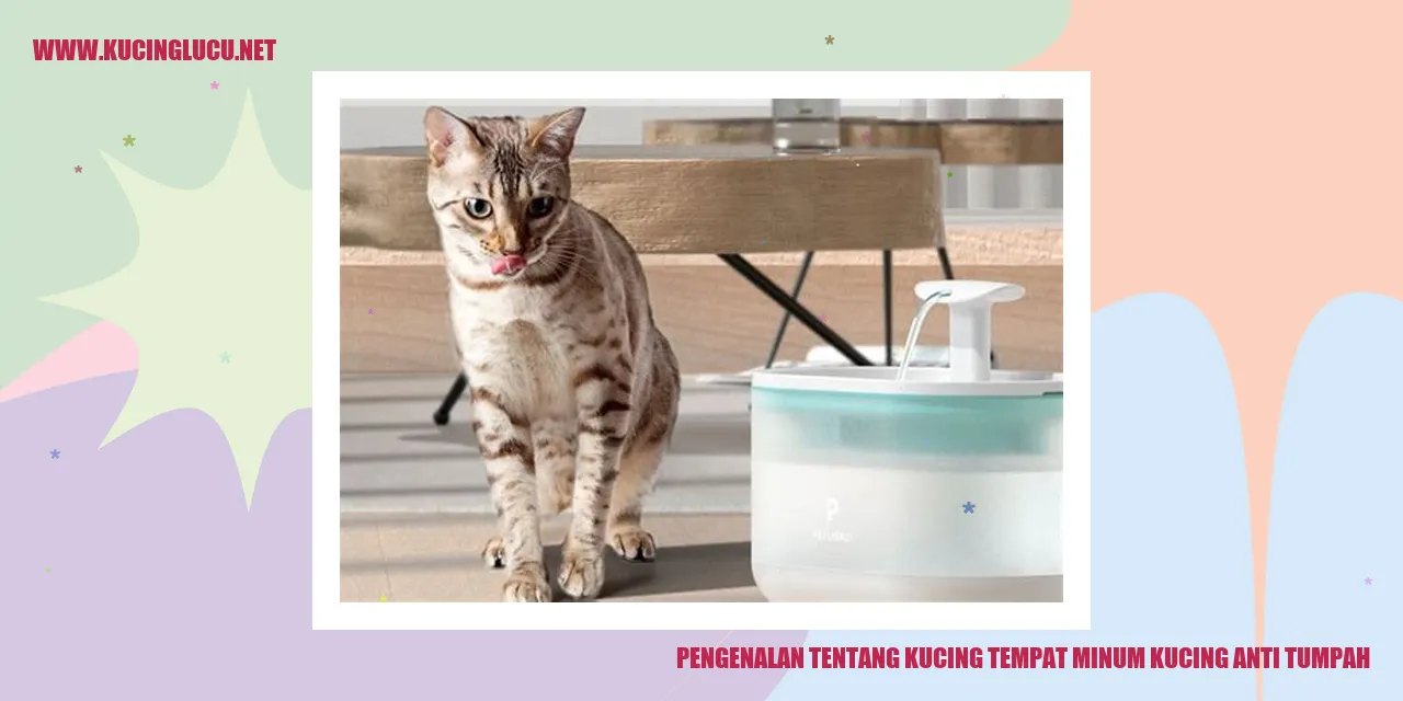 Gambar Kucing dengan wadah minum anti tumpah
