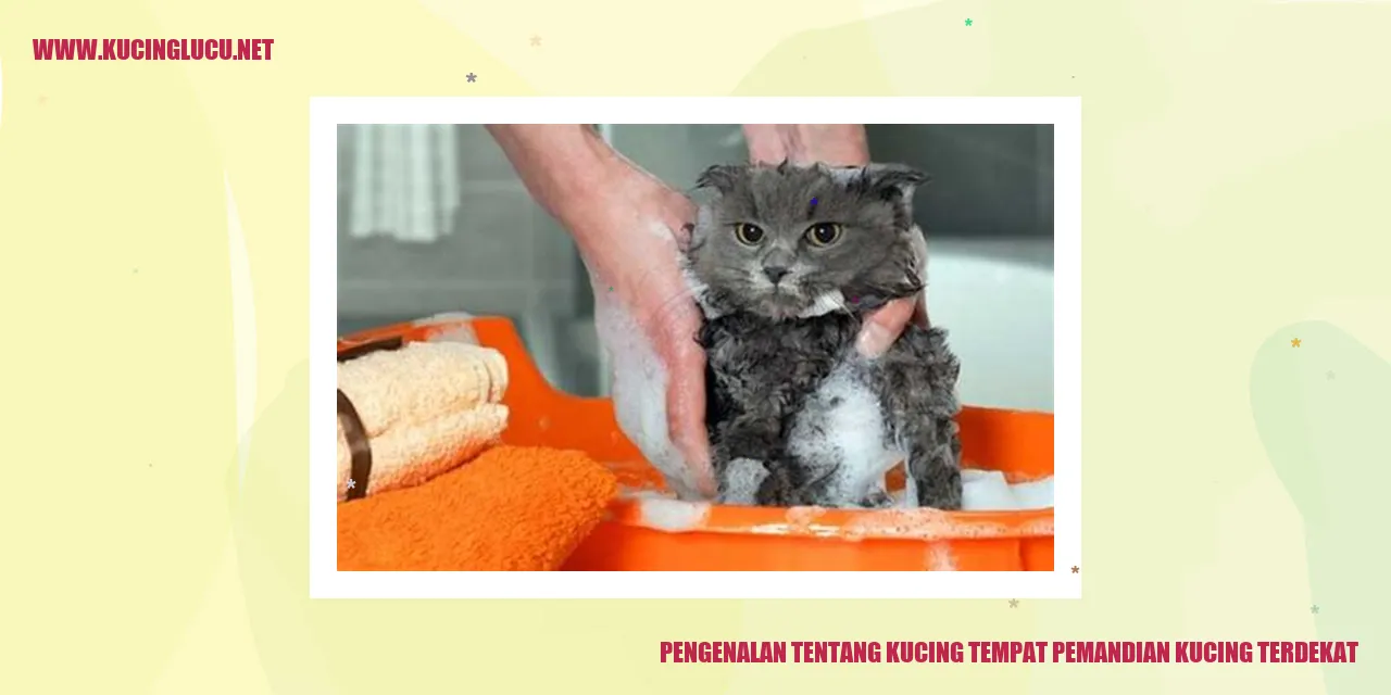 Kucing Berendam