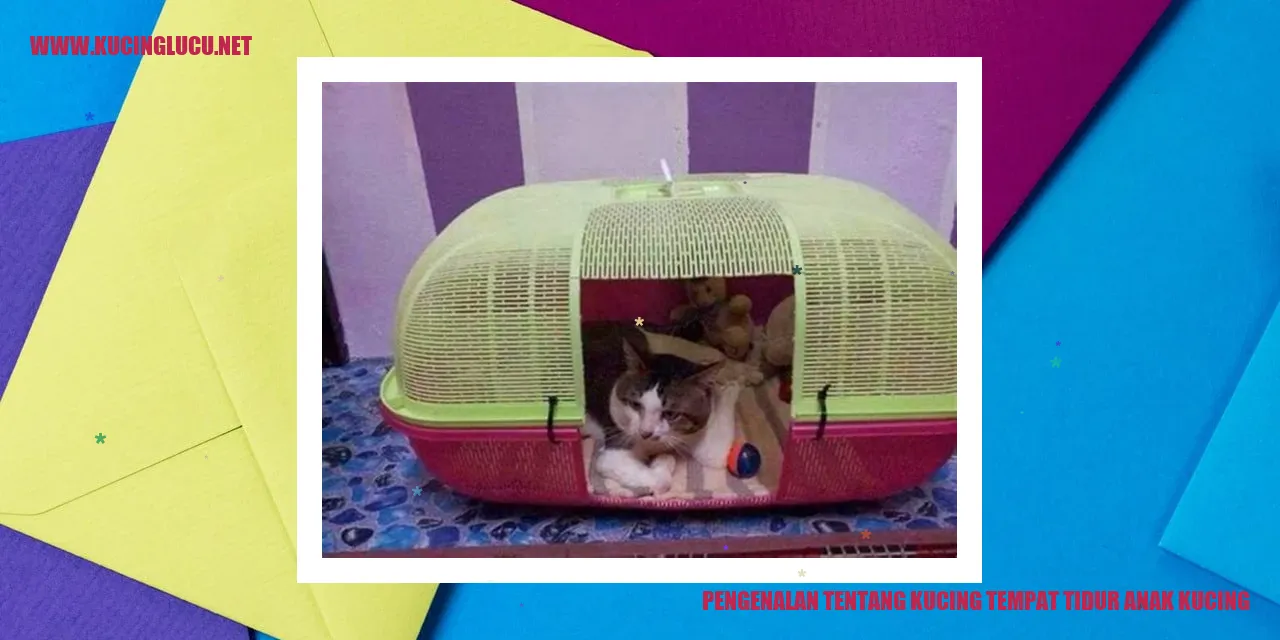 Gambar Kucing Tempat Bobo Anak Kucing