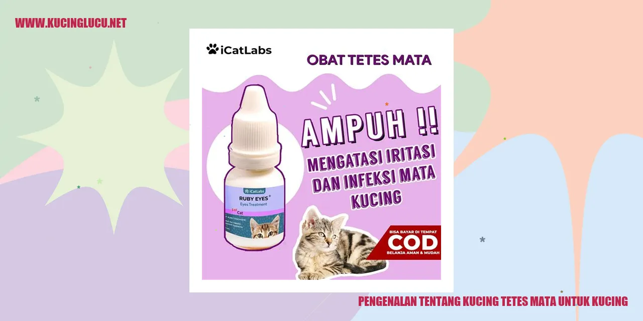 Kucing tetes mata