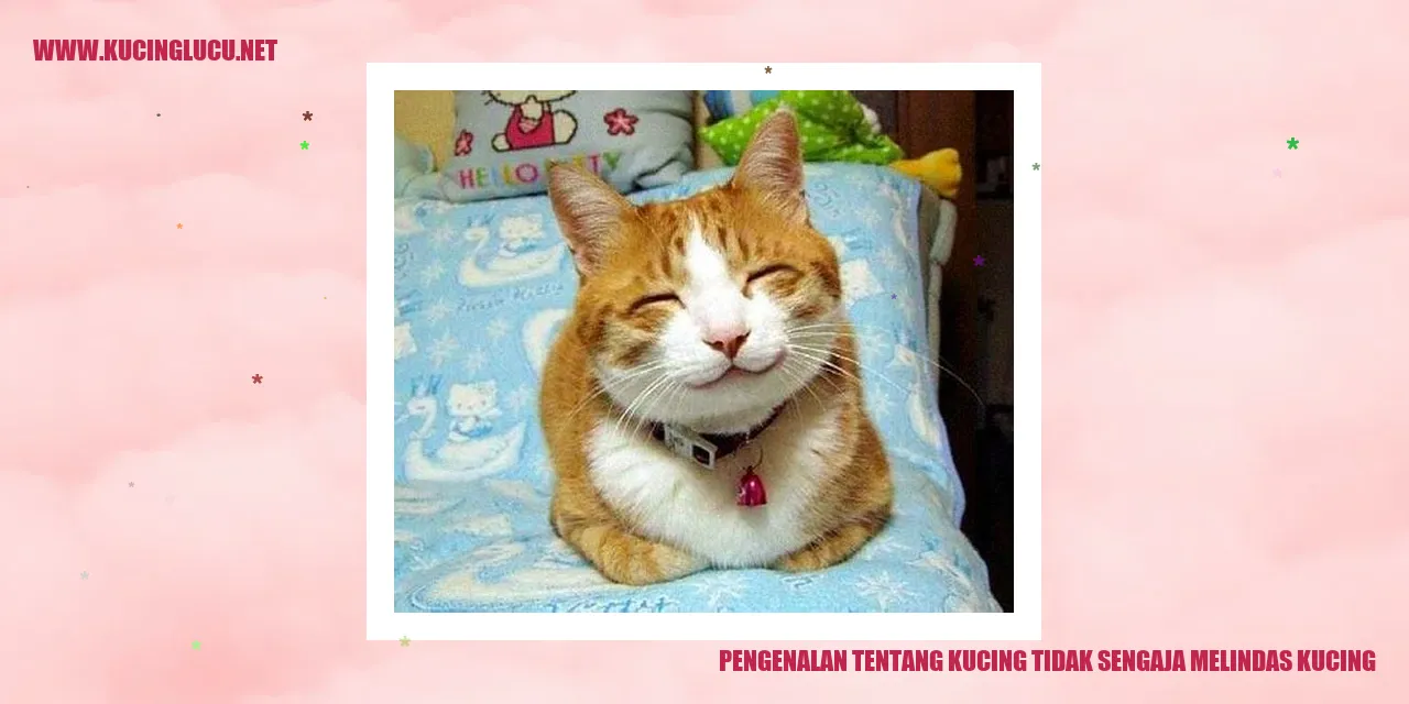 Gambar Kucing