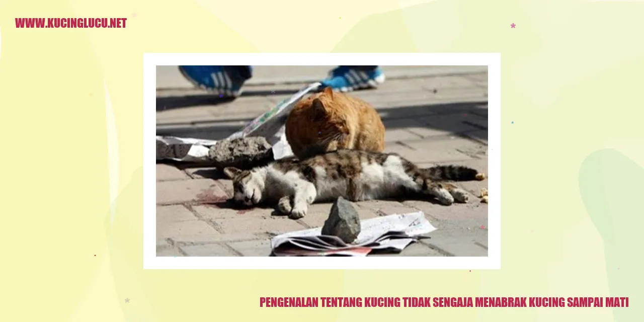 Gambar Kucing