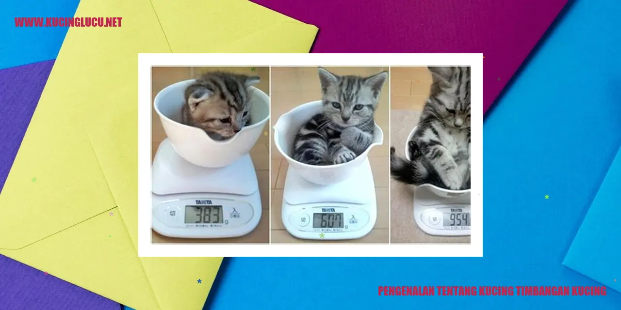 Gambar Kucing Indah