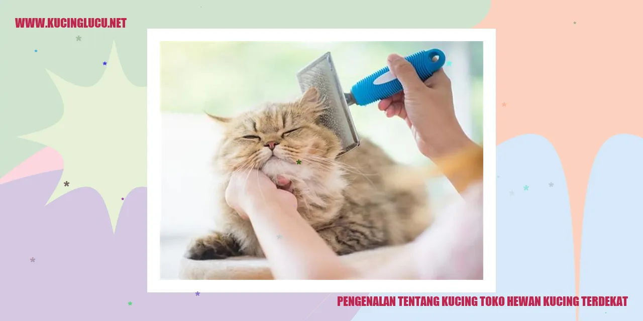 Gambar Kucing