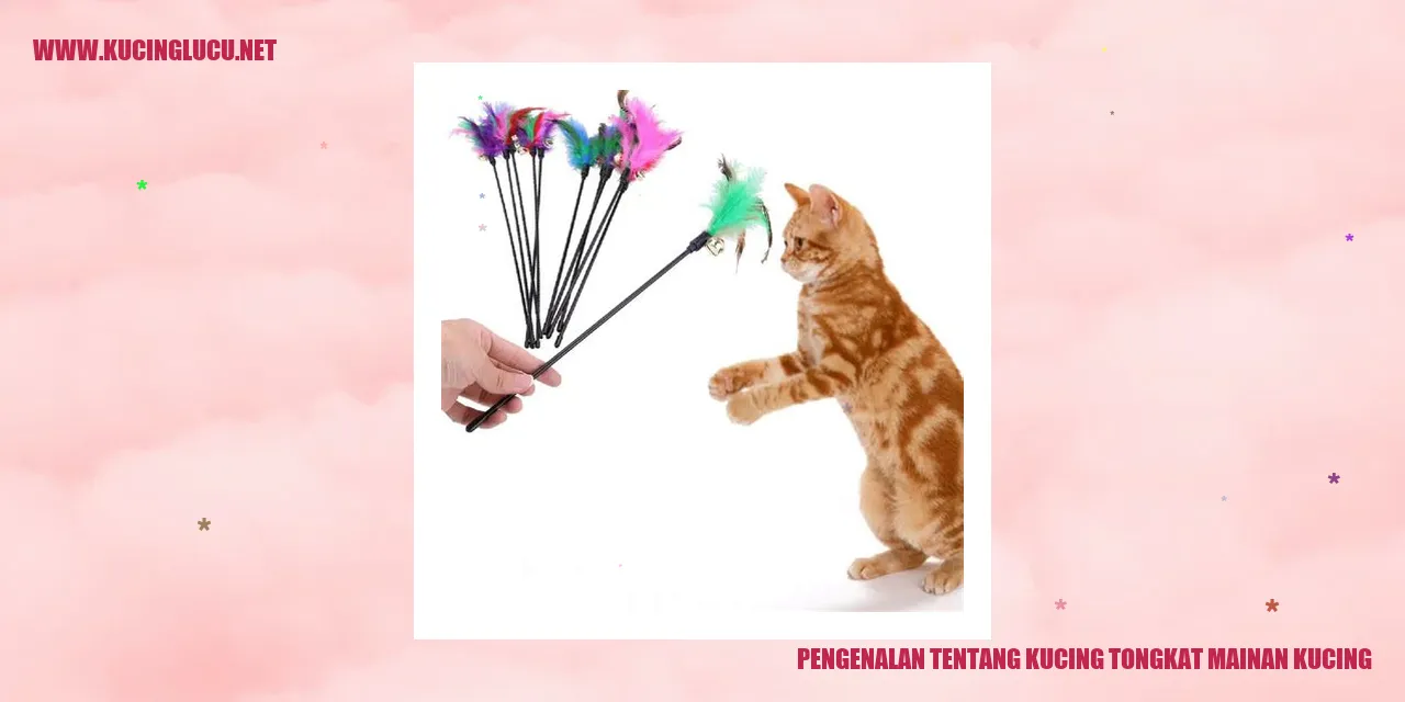 Perkenalan Kucing Tongkat Mainan Kucing