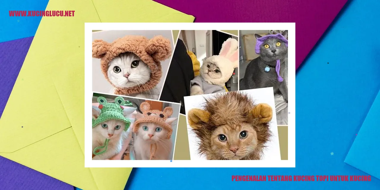Kucing topi