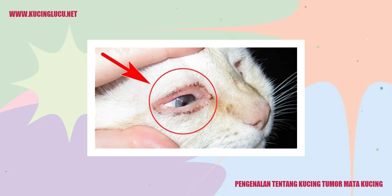 Kucing Tumor Mata Kucing