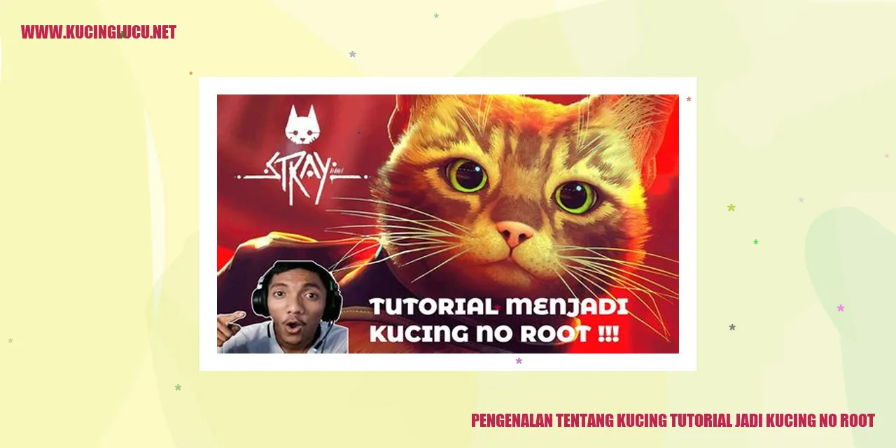 Gambar kucing yang lucu