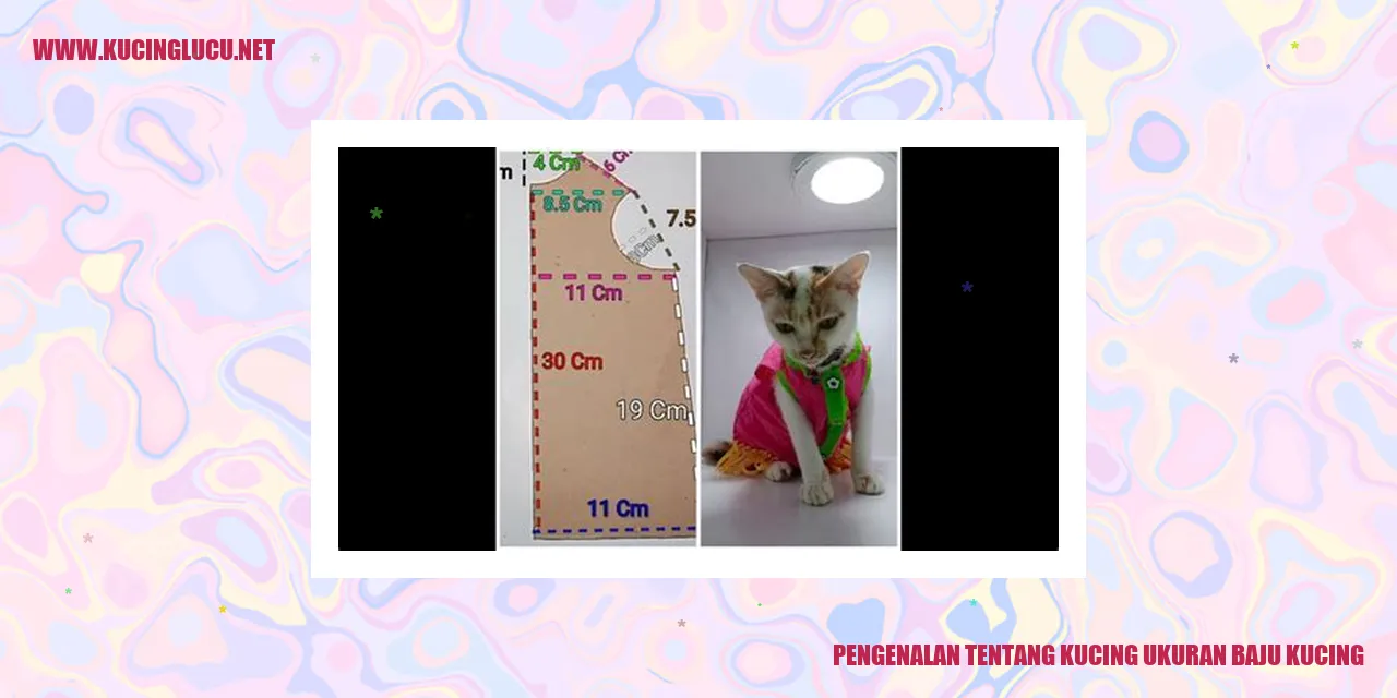 Kucing Ukuran Baju Kucing