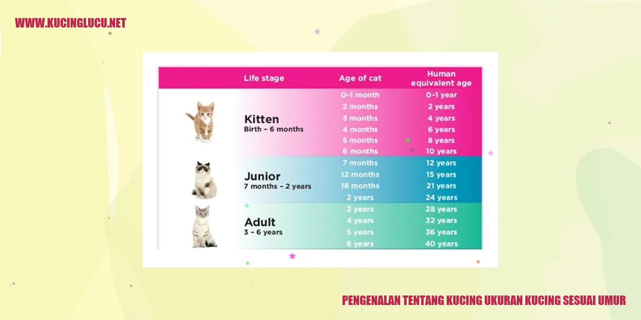 Gambar kucing menggemaskan