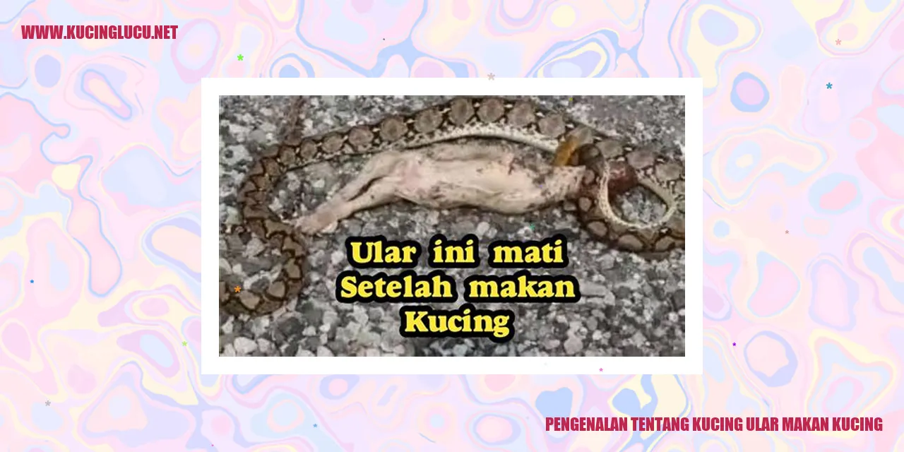 Gambar Kucing Ular Makan Kucing