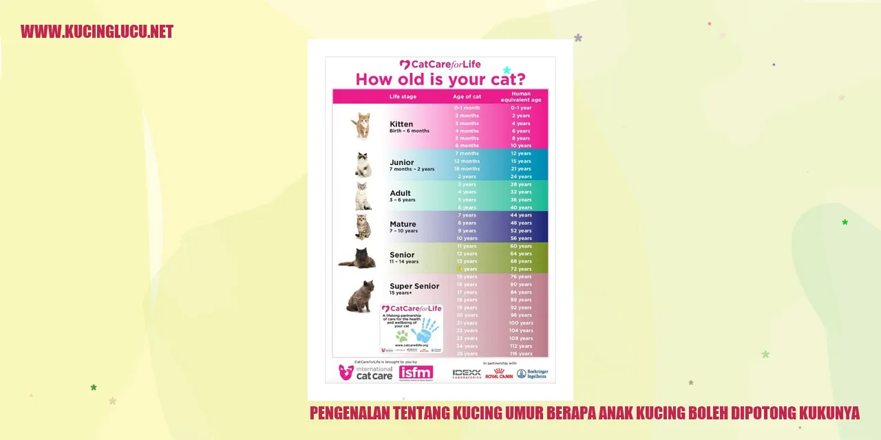 Potong Kuku Kucing