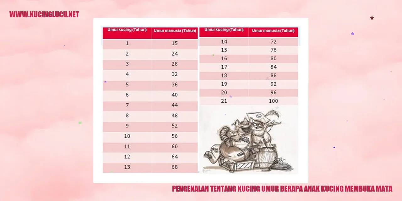 Bayi kucing membuka mata