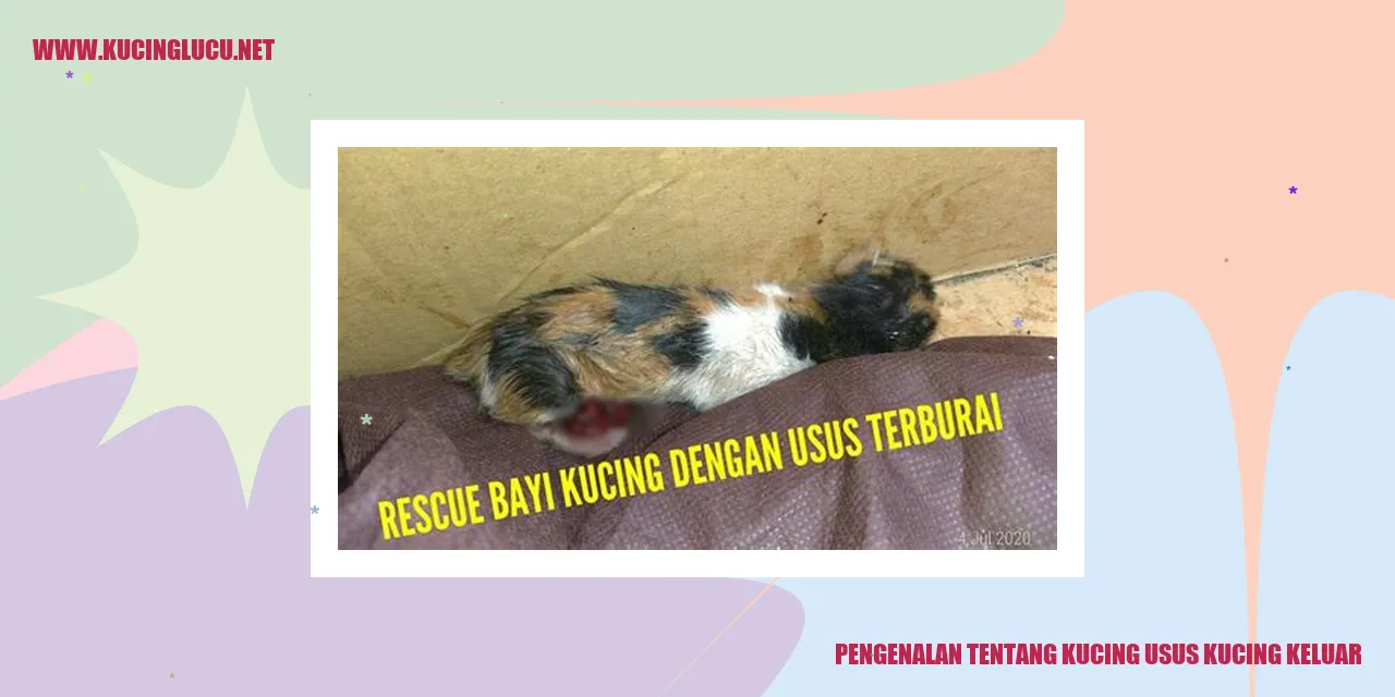 Ilustrasi Kucing