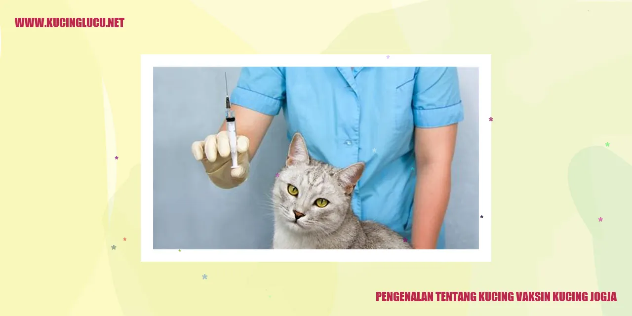 Vaksin Kucing di Jogja