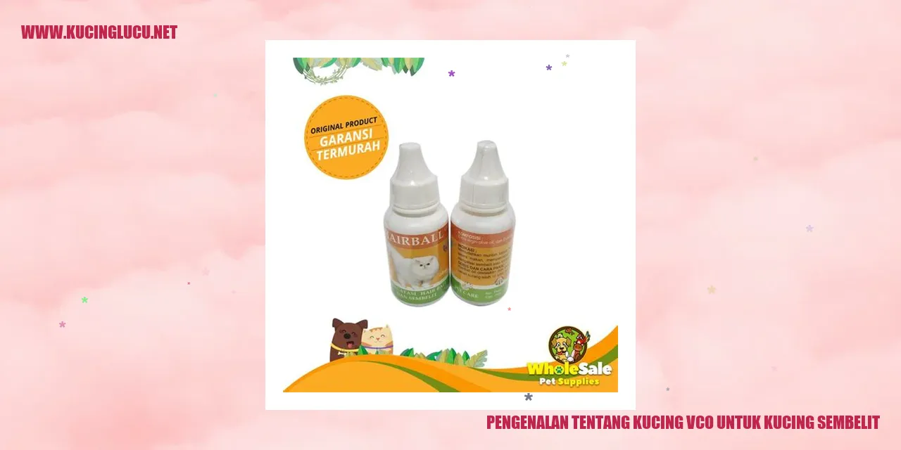 Kucing VCO untuk Kucing Sembelit