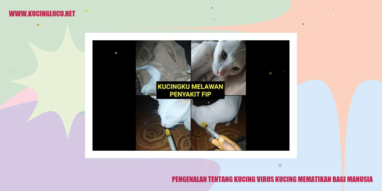 Kucing virus kucing mematikan bagi manusia