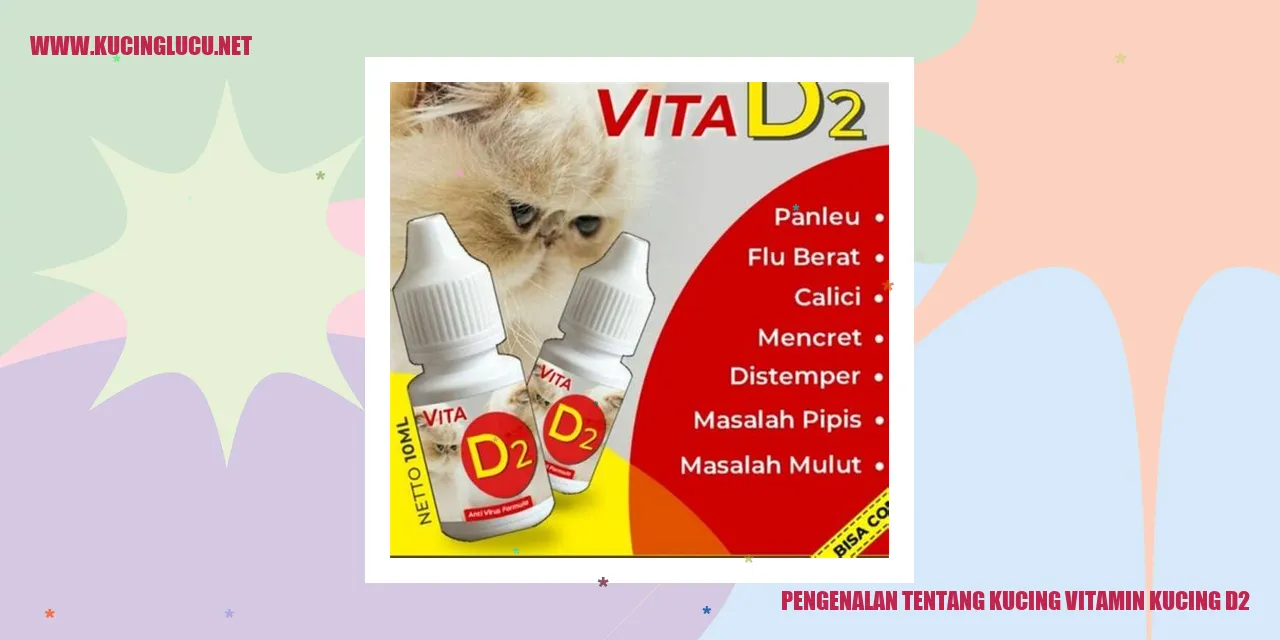 Gambar kucing yang sehat dan aktif