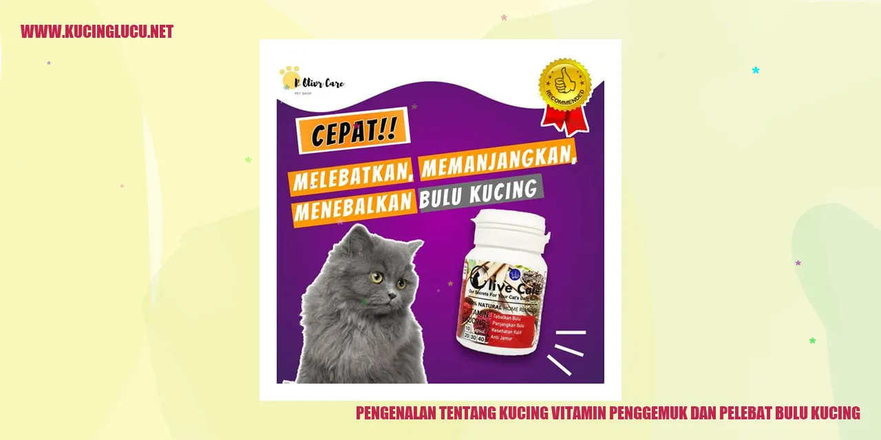 Foto Vitamin Penggemuk dan Pelebat Bulu Kucing